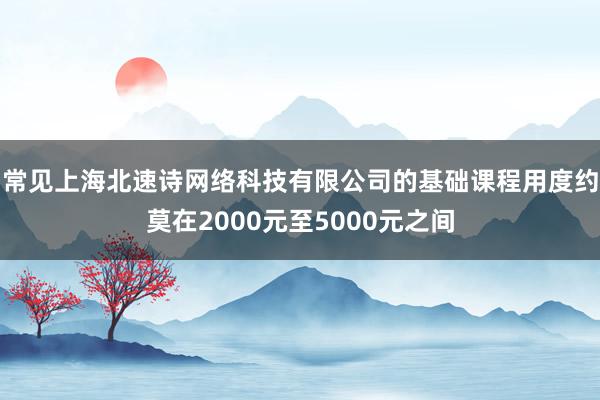 常见上海北速诗网络科技有限公司的基础课程用度约莫在2000元至5000元之间