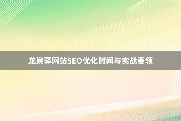 龙泉驿网站SEO优化时间与实战要领