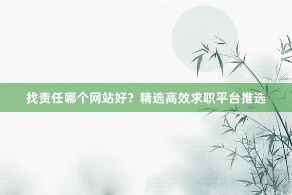 找责任哪个网站好?精选高效求职平台推选